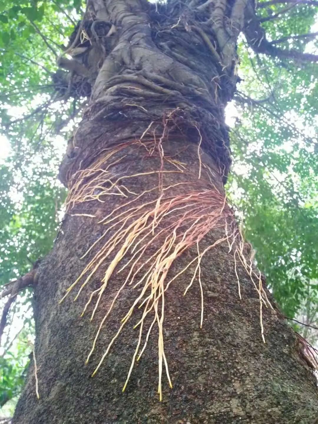 摄影大赛,平南骨科